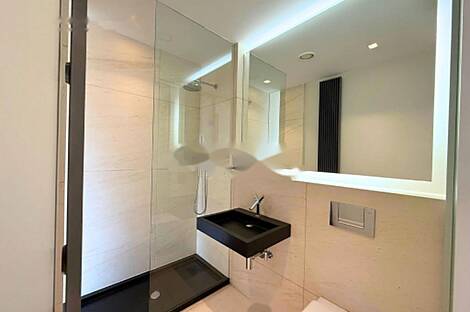 Апартаменты, более 5 комнат, находится в Центральном районе: 11