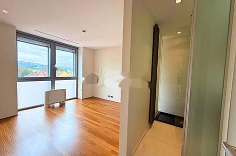 Апартаменты, более 5 комнат, находится в Центральном районе: 13