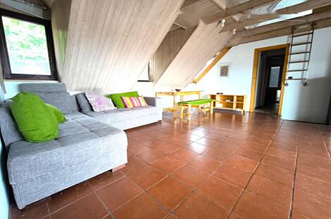 Многокомнатная квартира в центре, более 5 комнат: 1