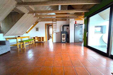 Многокомнатная квартира в центре, более 5 комнат: 3