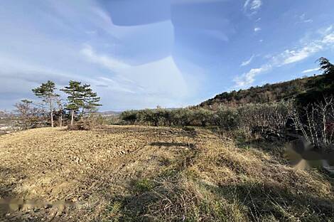 Бошамаринский дом с двумя этажами: 22