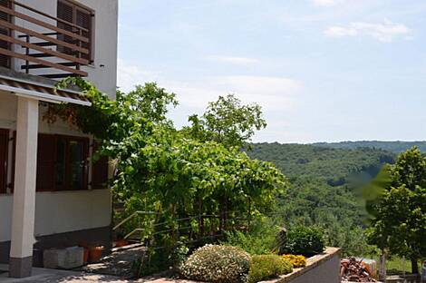 Дом, Беги: 10