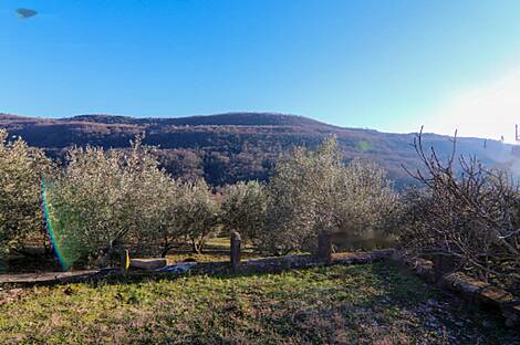 Дом, расположенный в Кркавче: 2