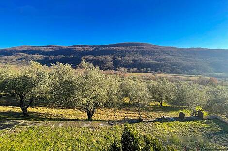 Дом, расположенный в Кркавче: 4