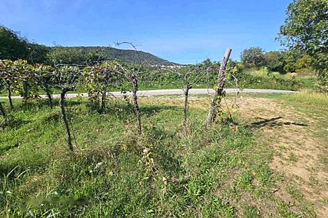 Дуплекс Ванганель, объект номер 2: 8