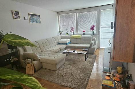 Люция приобрела новое жильё с четырьмя комнатами.: 1