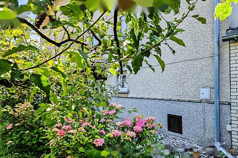 Рудник-дом-близнец: 5