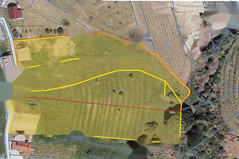 Жилище, Петушок: 11