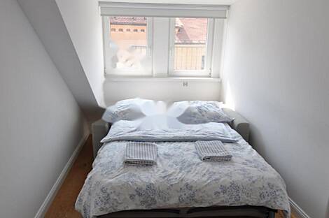 Четырёхкомнатная квартира в Старой Любляне: 13