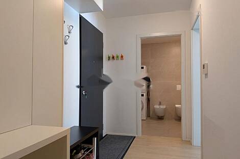 Трехкомнатная квартира в Любляне: 4