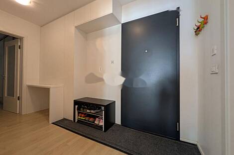 Трехкомнатная квартира в Любляне: 5