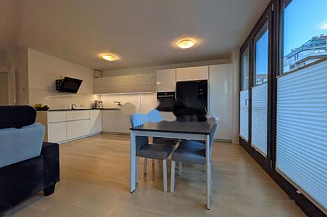 Трехкомнатная квартира в Любляне: 6