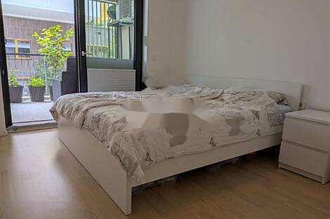 Трехкомнатная квартира в Любляне: 8