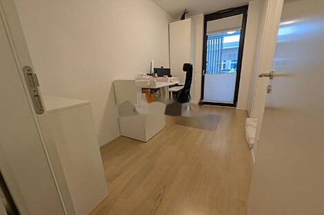 Трехкомнатная квартира в Любляне: 10