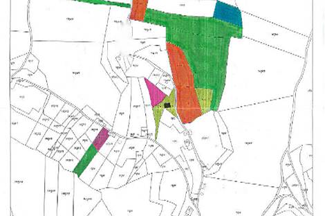 Усадьба, фермерское хозяйство Криж, земельный участок 1390 Верх.: 1