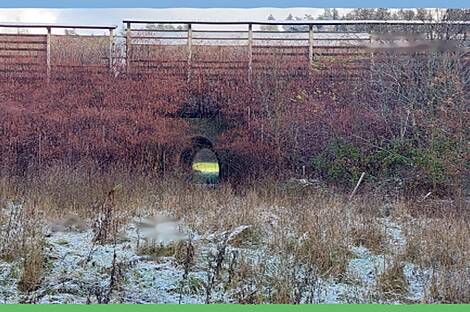 Дом, ферма Накло.: 12