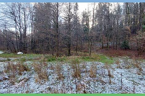 Дом, ферма Накло.: 14