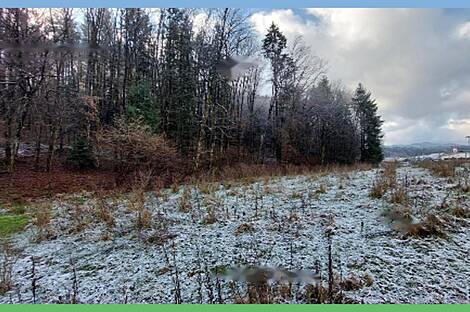 Дом, ферма Накло.: 15