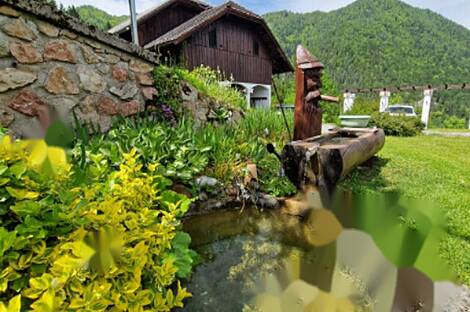 Дом Подкрай, расположенный в Межице, близ Межицы.: 10