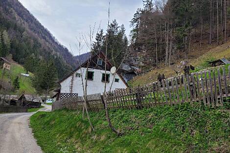 Усадьба, хозяйство Белые Воды: 3