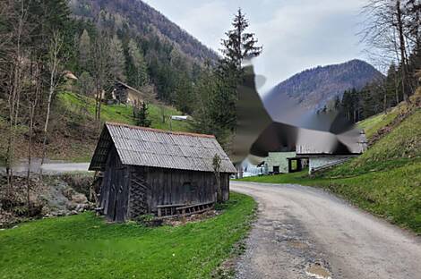 Усадьба, хозяйство Белые Воды: 7