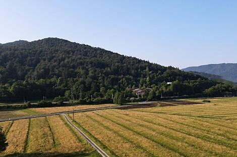 Бржезовица имение в Горицице: 1