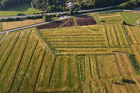 Бржезовица имение в Горицице: 3