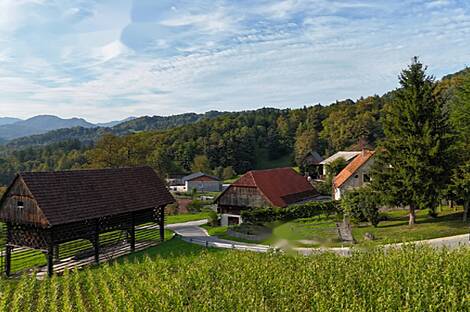 Дом Поместье Ферма Брыстовница: 4