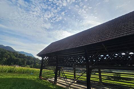 Дом Поместье Ферма Брыстовница: 21