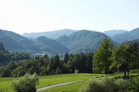 Дом Поместье Ферма Брыстовница: 23