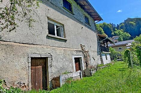 Усадьба, поместье Чолнишче.: 4