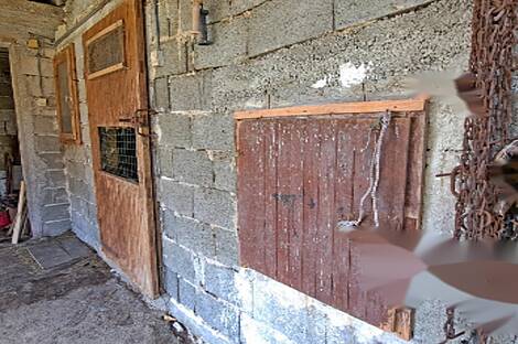 Усадьба, поместье Чолнишче.: 19