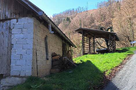 Усадьба, поместье Чолнишче.: 21