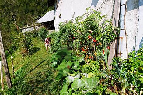 Усадьба, поместье Чолнишче.: 23