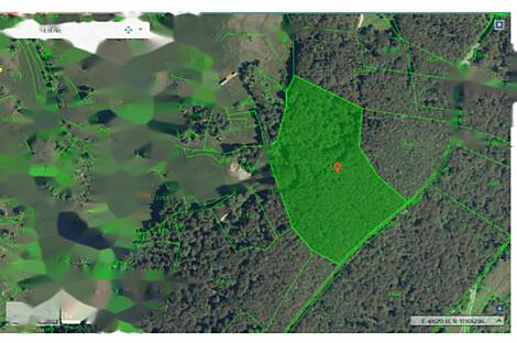 Усадьба, поместье Чолнишче.: 29