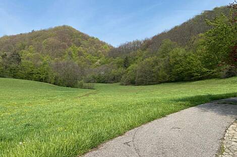 Жилище в Козминцах: 14