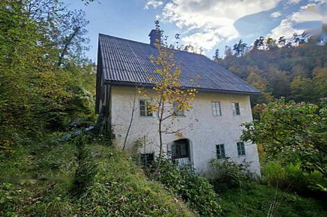 Квартира, расположенная в природной среде: 4