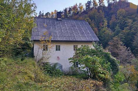 Квартира, расположенная в природной среде: 5