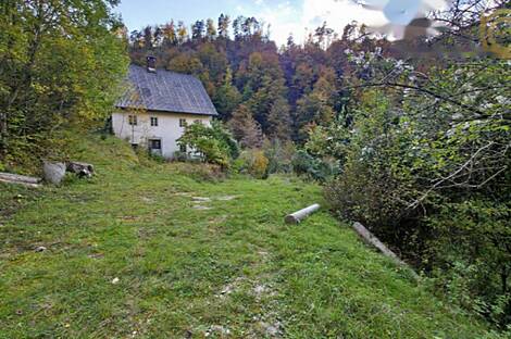 Квартира, расположенная в природной среде: 10