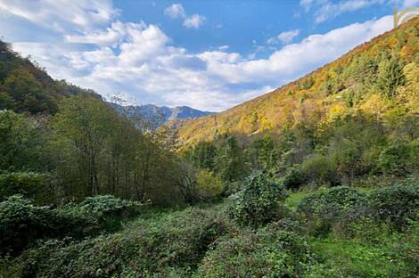 Квартира, расположенная в природной среде: 11