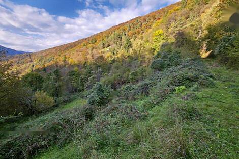 Квартира, расположенная в природной среде: 12