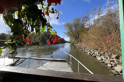 Жилище в Чершаке: 12