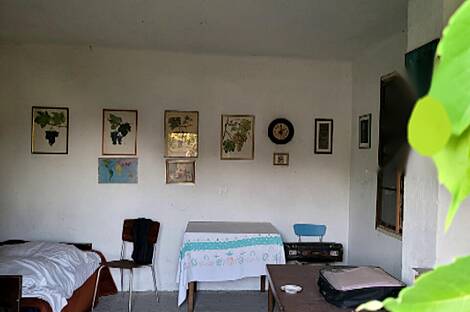 Квартира на две семьи в Капеле: 1