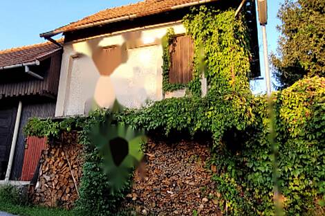 Квартира на две семьи в Капеле: 2