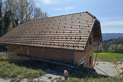 Жилище, Окролице: 7