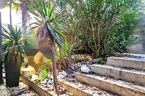 Лучия: дом с террасой: 3