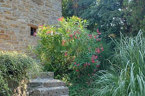 Пиран, дом.: 14