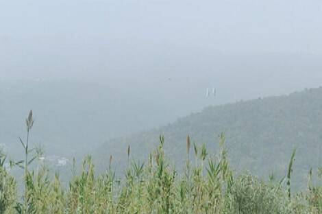 Дом в тихом районе Шалара, Копер: 17