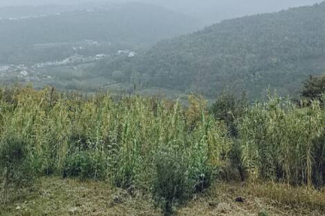 Дом в тихом районе Шалара, Копер: 22