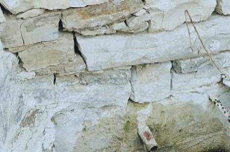 Дом в тихом районе Шалара, Копер: 24